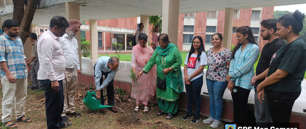 Department of Statistics, Panjab University, Chandigarh has organized a Tree Plantation Drive today.